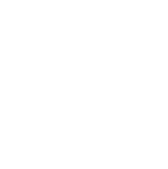 Pulmonary Care Icon